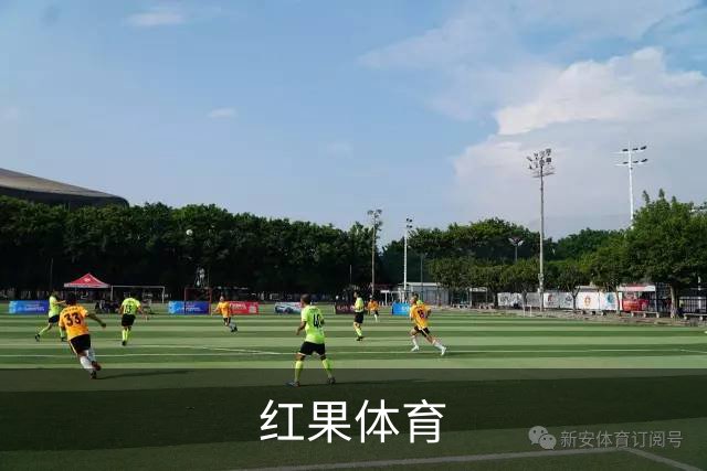 红果体育公司介绍图
